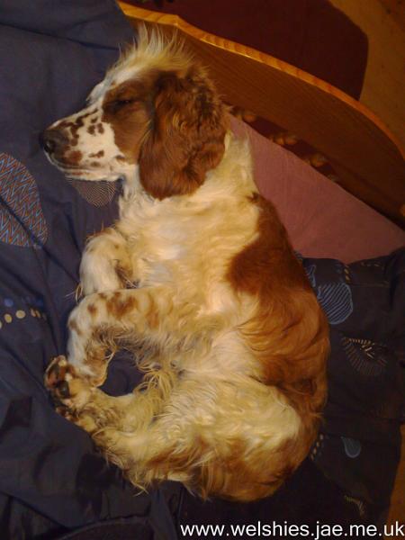 2010-03-30 01.jpg